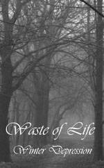 Waste Of Life : Winter Depression